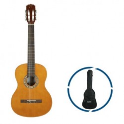 Guitarra Oqan QGC-15 GB